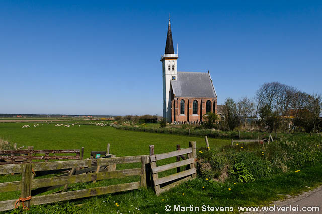 Geloven in een betere wereld