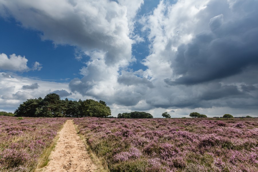 hilversum-westerheide-msdc-20110807-244517