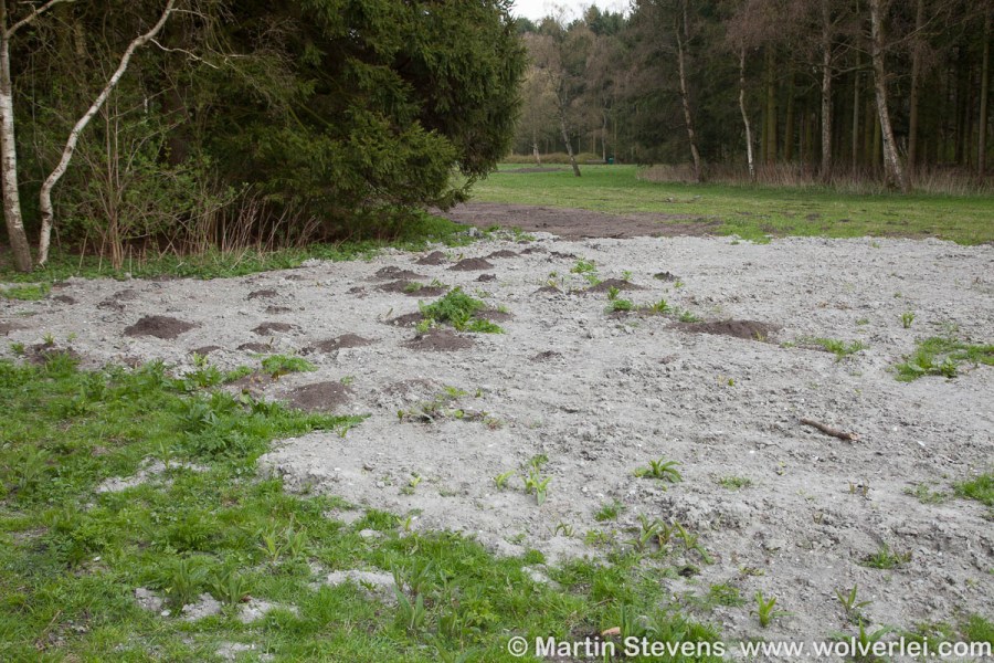 Rotterdam-Kralingse-Bos-MSD-20130423-287560